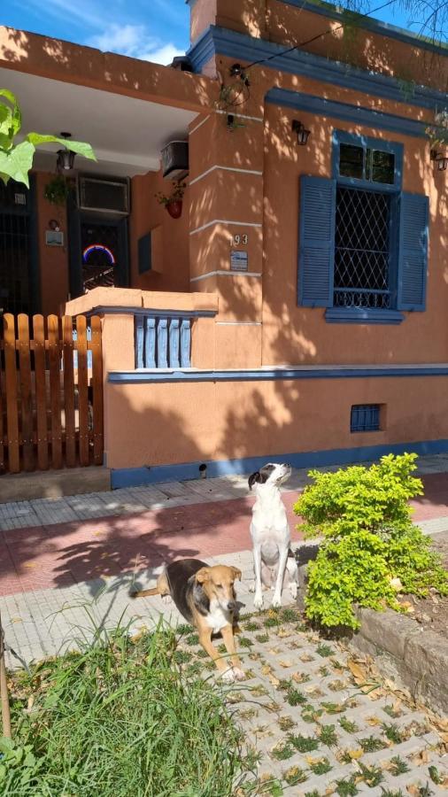 Hostel El Caminito Lgbtqiapn Plus Santos Kültér fotó